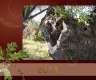 Naturgeister-Kalender 2013 beziehbar...
